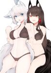  2girls absurdres akagi_(azur_lane) animal_ear_fluff azur_lane blue_eyes breasts brown_hair brown_panties brown_tail cleavage highres kaga_(azur_lane) kitsune large_breasts large_tail long_hair multiple_girls panties red_eyes samip short_hair simple_background tail underwear white_background white_hair white_tail yuri 