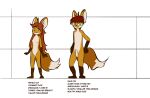  anthro canid canine dipstick_tail female fox green_eyes group hair incest_(lore) kamperkiller_(artist) male male/female mammal model_sheet multicolored_tail red_hair sibling twins 