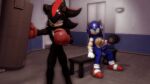  3d_(artwork) absurd_res balls boxing_gloves clothing digital_media_(artwork) dumbbell duo erection exercise genitals gym handwear hi_res male male/male muscular muscular_male penis punching_bag shadow_the_hedgehog sonic_the_hedgehog sonic_the_hedgehog_(series) sonicthebitch source_filmmaker weights workout 