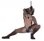  anthro brown_body brown_fur bulge chest_tuft clothed clothing dancing eye_scar facial_scar fur genitals hi_res hyaenid jockstrap male mammal mlice mostly_nude penis penis_base pole pole_dancing scar skimpy smile solo spotted_hyena tuft underwear 