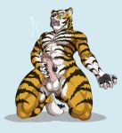  anthro balls bodily_fluids cum ejaculation eyes_closed felid genital_fluids genitals humanoid_genitalia humanoid_penis kneeling looking_pleasured male mammal masturbation pantherine penis solo somecrazybastard tiger 