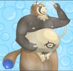  2021 anthro balls bathing belly canid canine eyes_closed flaccid genitals kemono live-a-hero male mammal moobs nipples overweight overweight_male penis raccoon_dog shirokuma_210 shoen small_penis solo tanuki video_games 