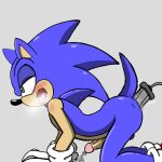  anal anal_penetration autopenetration blue_body blue_fur bodily_fluids cum dildo fur genital_fluids hedge lgbt_pride male male/male masturbation penetration sex_toy signature solo soni sonic_the_hedgehog sonic_the_hedgehog_(series) spankynutz69 vibrator 