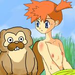  bibarel misty nintendo pokemon tagme 