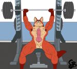  abs armpit_hair biceps big_penis bodily_fluids body_hair canid canine disney erection exercise fox genitals goldeyboi gym male mammal muscular muscular_legs muscular_male nick_wilde nude pecs penis solo sweat veiny_muscles weightlifting weights workout zootopia 