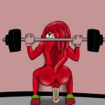  anal butt crouching echidna exercise genitals hair humanoid knuckles_the_echidna male mammal monotreme muscular muscular_humanoid muscular_male penis purple_eyes red_body red_hair solo sonic_the_hedgehog_(series) spankynutz69 workout 