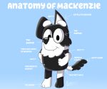 2021 anatomy anonymous_artist anthro black_body black_fur blue_background bluey_(show) border_collie canid canine canis collie detailed digital_media_(artwork) domestic_dog english_text eyebrows fluffy fluffy_tail fur fur_tuft gradient_background hand_on_hip herding_dog hi_res humor mackenzie_(bluey) male mammal neck_tuft pastoral_dog paws sheepdog signature silly simple_background smile solo standing text thick_eyebrows tuft white_body white_fur 