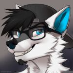 anthro black_nose canid canine canis clothing ears_up eyewear facial_hair fur glasses goatee grey_body grey_fur hair happy hat headgear headwear icon invalid_tag koul looking_at_viewer male mammal smile solo teeth white_body white_fur wolf 