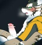  absurd_res anthro balls blush bottomless canid canine canis censored clothed clothing embarrassed erection fur genitals hi_res humanoid_genitalia humanoid_penis ib jackal jacket male mammal multicolored_body multicolored_fur penis seth_(tas) solo tokyo_afterschool_summoners topwear video_games 