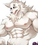  abs anthro bodily_fluids bracelet canid canine chung0_0 facial_markings fox fur gingitsune gintaro head_markings hi_res jewelry male mammal markings muscular muscular_anthro muscular_male nipples nude open_mouth pecs pink_nipples simple_background solo sweat sweatdrop teeth white_background white_body white_fur 