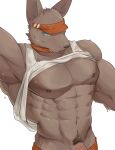  abs anthro blue_eyes bottomwear brown_body brown_fur canid canine canis chung0_0 clothed clothing dripping fur genitals hi_res male mammal muscular muscular_anthro muscular_male nipples orange_bottomwear orange_clothing pecs penis penis_base pubes raised_clothing raised_shirt raised_topwear sagging shirt simple_background solo swimwear tank_top topwear visor wet white_background white_clothing white_shirt white_topwear 