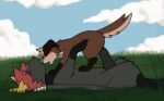  animated black_and_red black_body black_fur blue_nose brown_body brown_fur canid canine canis cloud domestic_dog dragon duo female feral fightmeatpax fur genitals grass knot male male/female mammal meadow penis plant riding submissive submissive_male 