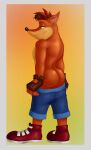  activision anthro bandicoot blue_bottomwear blue_clothing blue_shorts bottomwear brown_gloves butt butt_focus clothed clothing crash_bandicoot crash_bandicoot_(series) fingerless_gloves footwear fur gloves green_eyes handwear hi_res hunnipanda looking_back male mammal marsupial narrowed_eyes orange_body orange_fur outlines pants_down partially_clothed rear_view red_clothing red_footwear red_shoes shoes shorts solo standing video_games 