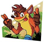 2020 4_fingers activision anthro brown_hair clothed clothing crash_bandicoot crash_bandicoot_(series) eggmanfan91 fingerless_gloves fingers fur gloves green_eyes hair handwear hi_res looking_at_viewer male mammal marsupial one_eye_closed pose solo tongue tongue_out topless video_games wink 