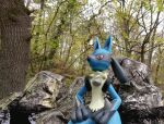  3d_(artwork) anthro blender_(software) blue_body blue_fur canid canine digital_media_(artwork) feral forest forest_background fur liuke448 looking_at_viewer lucario male mammal nature nature_background nintendo plant pok&eacute;mon pok&eacute;mon_(species) red_eyes rock sitting smile smiling_at_viewer solo tree video_games 