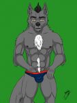  3:4 absurd_res anthro bulge canid canine canis clothed clothing domestic_dog drekkorwolfsoul hi_res male mammal nipples simple_background solo underwear 