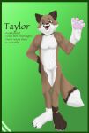  anklet anthro border canid canine claws collar featureless_crotch feet foot_focus foot_hands footpaw_hands fox green_border hi_res jaggedjosh jewelry male mammal nude pawpads plantigrade soles solo standing text 
