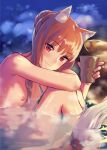  ajisai_denden animal_ears holo kawakami_rokkaku naked nipples onsen spice_and_wolf tail 