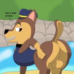  absurd_res big_butt brown_eyes bubble_butt butt canid canine canis chase_(paw_patrol) clothing collar colossalstars domestic_dog feral german_shepherd herding_dog hi_res male mammal pastoral_dog paw_patrol police_uniform presenting presenting_hindquarters showing_ass solo uniform wide_hips 