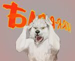  amber_eyes canid canine canis dawg fangs feral fur hand_on_head hi_res male mammal open_mouth profanity russian_text screaming solo text white_body white_fur wolf 
