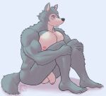  anthro beastars canid canine canis genitals hi_res legoshi_(beastars) male mammal muscular muscular_anthro muscular_male pecs penis scar sitting solo thebarabandit wolf 