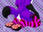  anthro black_paws butt canid canine canis clothing domestic_dog elkhound fur genitals legwear male mammal pawalo pawpads pawprint_marking paws penis pink_pawpads purple_body purple_fur rear_view rebel_nightwolfe_(artist) solo spitz stockings 