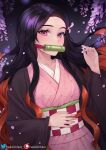  1girl bamboo bangs bit_gag black_hair brown_hair commentary_request cowboy_shot forehead gag gradient_hair hair_ribbon hand_up haori helloimtea highres japanese_clothes kamado_nezuko kimetsu_no_yaiba kimono long_hair long_sleeves looking_at_viewer mouth_hold multicolored_hair obi open_clothes petals pink_eyes pink_kimono pink_ribbon ribbon sash solo upper_body very_long_hair 