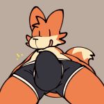  anthro bulge canid canine clothed clothing digital_media_(artwork) fox fur looking_at_viewer low-angle_view male mammal simple_background smile solo squishy_(artist) topless underwear 