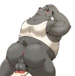  2021 anthro anus backsack balls belly big_butt black_body black_fur black_nose blush butt clothing fur genitals hi_res hugo_(jumperbear) humanoid_hands jumperbear kemono male mammal overweight overweight_male shirt solo_focus topwear ursid 