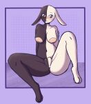  2021 absurd_res anthro areola beastars big_areola big_breasts breasts domestic_rabbit ears_down female front_view full-length_portrait genitals harlequin_rabbit hi_res lagomorph leporid looking_at_viewer mammal mizuchi_(beastars) multicolored_body navel nude oryctolagus pivoted_ears plump_labia portrait pussy rabbit sitting solo spread_legs spreading two_tone_body umine 