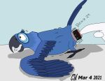  absurd_res avian bird blu_(rio) blue_sky_studios feral hi_res lightning_the_skrill male parrot rio_(series) sex_toy sex_toy_in_ass solo vibrator vibrator_in_ass 