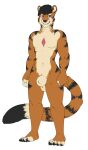  animal_genitalia anthro aruc athletic balls barbarian bulge colored cura dd dragon dungeons dungeons_and_dragons fantasy felid feline genitals hasbro hi_res invalid_tag male mammal muscly muscular narusewolf nude orange pantherine paws pose sheath slim solo stripes tiger wizards_of_the_coast 