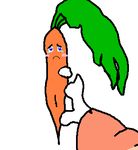  carrot food inanimate tagme vegetable 