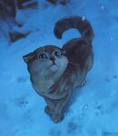  akreon animal animal_focus black_eyes blue_sclera cat colored_sclera full_body looking_up no_humans orange_fur original snow snowing tail_raised two-tone_fur whiskers 