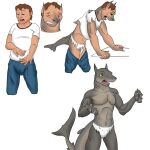  1:1 anthro bottomwear claws clothing dorsal_fin fin fish gills hi_res human male mammal marine membrane_(anatomy) pants shark shirt simple_background snout solo standing terminotaur thick_tail topwear torn_clothing transformation underwear webbed_hands 
