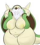  absurd_res anthro areola belly big_belly big_breasts big_butt breast_squish breasts butt chesnaught female genitals hi_res huge_butt huge_thighs looking_at_viewer navel nintendo nipples overweight overweight_anthro overweight_female plantedpot pok&eacute;mon pok&eacute;mon_(species) pussy shell smile solo squish thick_thighs video_games wide_hips 