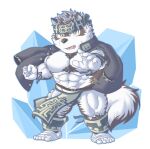  1boy abs ainu ainu_clothes animal_ears bara bare_pecs bulge chest_hair chibi full_body furry grey_fur grey_hair headband horkeu_kamui_(tokyo_houkago_summoners) jacket jacket_on_shoulders large_pectorals male_focus muscular muscular_male navel nipples pelvic_curtain short_hair silver_hair solo stomach tail thick_thighs thighs tokyo_houkago_summoners two-tone_fur white_fur wolf_boy wolf_ears wolf_tail yellow_eyes yuki_(m0000rgn) 