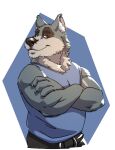  2021 anthro biped bottomwear canid canine canis clothing hi_res humanoid_hands leo_zeke male mammal password_(visual_novel) shirt shorts simple_background solo topwear tyson_(password) video_games visual_novel wolf 