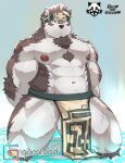  1boy abs ainu ainu_clothes animal_ears arms_behind_back bara bare_pecs bulge chest_hair fluffy furry grey_fur grey_hair headband highres horkeu_kamui_(tokyo_houkago_summoners) kneeling large_pectorals male_focus muscular muscular_male navel nipples pelvic_curtain ratontheraccoon reward_available short_hair silver_hair solo stomach tail thick_thighs thighs tokyo_houkago_summoners two-tone_fur white_fur wolf_boy wolf_ears wolf_tail yellow_eyes 