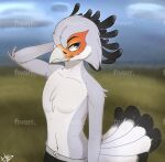  accipitriform avian beak bird boxers_(clothing) clothing looking_at_viewer male outside piercing secretary_bird simple_background solo underwear 