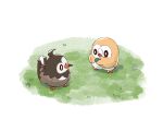  0_0 bird closed_mouth commentary_request eye_contact gen_4_pokemon gen_7_pokemon grass looking_at_another no_humans open_mouth piku_(another_pikuru) pokemon pokemon_(creature) rowlet starly starter_pokemon tongue 