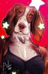  absurd_res anthro benjamin_ratterman bra canid canine canis clothing domestic_dog female hi_res looking_at_viewer mammal solo springer_spaniel star underwear 