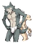  3:4 anthro beastars briefs canid canine canis clothed clothing domestic_dog dressing duo hi_res holding_clothing holding_object holding_underwear jack_(beastars) legoshi_(beastars) male mammal shirako signature simple_background tighty_whities topless underwear white_background white_clothing white_underwear wolf 
