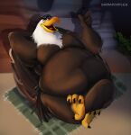  2021 accipitrid accipitriform angry_birds anthro avian bald_eagle belly bird black_body black_feathers detailed_background eagle feathers hi_res male mighty_eagle obese obese_anthro obese_male overweight overweight_anthro overweight_male sea_eagle shibadoodles solo video_games white_body white_feathers 