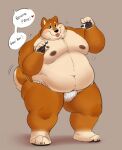  2020 anthro asian_clothing blush brown_body brown_fur bulge canid canine canis clothing domestic_dog east_asian_clothing english_text fundoshi fur hi_res japanese_clothing male mammal moobs nipples obese obese_anthro obese_male overweight overweight_anthro overweight_male shiba_inu shibadoodles solo spitz text tongue tongue_out underwear 