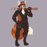  1:1 absurd_res ailurid animal_genitalia anthro balls blvejay detailed fluffy fluffy_tail genitals grin hand_on_hip happy hi_res looking_at_viewer mace male mammal melee_weapon muscular muscular_anthro muscular_male nude red_panda scar sheath simple_background slightly_chubby smile solo weapon 