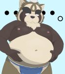  2021 anthro asian_clothing belly brown_body brown_fur canid canine clothing east_asian_clothing fundoshi fur hi_res humanoid_hands japanese_clothing kemono live-a-hero male mammal moobs nipples overweight overweight_anthro overweight_male panthera7uncia raccoon_dog shoen solo tanuki underwear video_games 