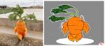  animated carrot elemental_creature flora_fauna food food_creature front_view green_body grey_background keke_(artist) living_vegetable loop muscular orange_body plant short_playtime simple_background solo vegetable walking 