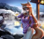  1girl animal_ears bangs blunt_bangs blush breasts brown_hair closed_mouth collarbone come_hither eyebrows_visible_through_hair fox_ears fox_girl fox_tail holo jewelry large_breasts long_hair long_sleeves looking_at_viewer naughty_face necklace night onsen outdoors racoon-kun red_eyes seductive_smile smile solo spice_and_wolf tail wet 