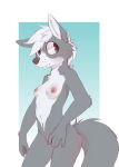  2019 absurd_res anthro areola blush brown_eyes canid canine cheek_tuft chest_tuft conditional_dnp elijah-draws facial_tuft female fur genitals gradient_background grey_body grey_fur head_tuft hi_res mammal multicolored_body multicolored_fur navel nipples nude pink_areola pink_nipples portrait pussy simple_background smile solo three-quarter_portrait tuft two_tone_body two_tone_fur white_body white_fur 